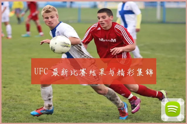 UFC 最新比赛结果与精彩集锦